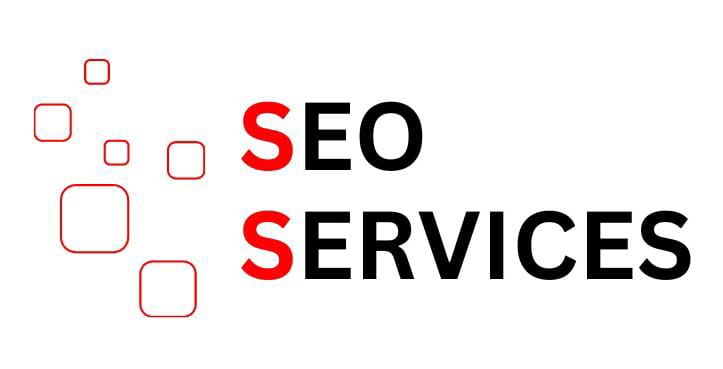 seo , divyadrushti.com